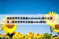 WakaWaka(ThisTimeforAfrica)南非世界杯的音乐传奇