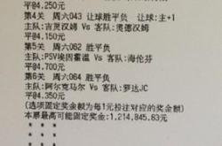 竞彩足球让球胜平负解析

PPT目录
1.**引言**
-竞彩足球简介
-让球胜平负的意义

2.**让球胜平负规则详解**
-让球的概念
-胜平负的定义
-计算方法

3.**投注策略与技巧**
-分析球队实力
-考虑主客场因素
-观察历史战绩

4.**案例分析**
-实际比赛案例
-投注结果分析

5.**风险管理**
-投注金额控制
-避免常见错误

6.**结语**
-总结要点
-鼓励理性投注

对应的