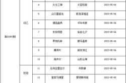 张路欧洲杯