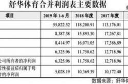 省体育产业集团什么级