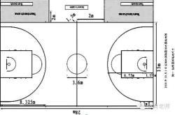 标准篮球场尺寸图